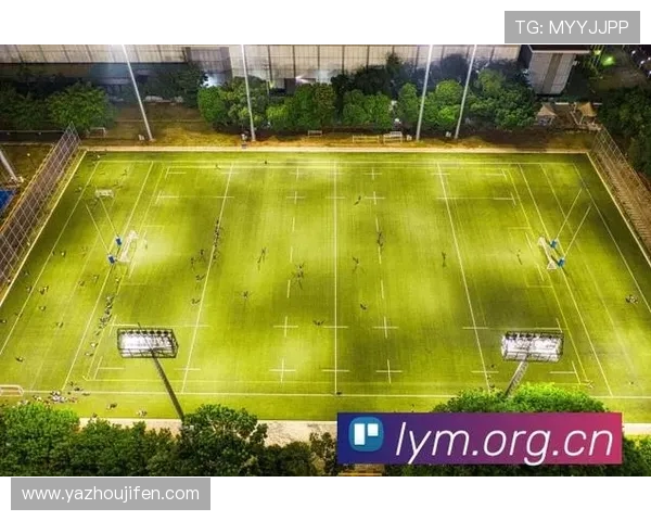 下一届世界杯赛事直播平台推荐,在线观看比赛的最佳选择与观看技巧 下一届世界杯赛事直播平台推荐,在线观看比赛的最佳选择与观看技巧