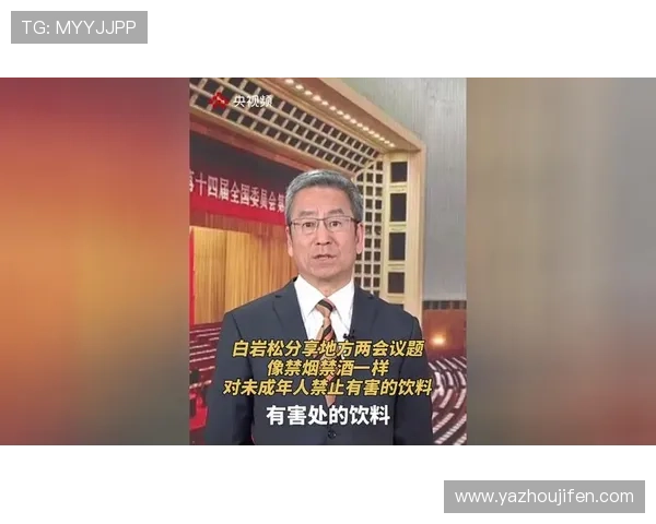 白岩松俄罗斯世界杯报道深度解析中国观众关注的焦点问题